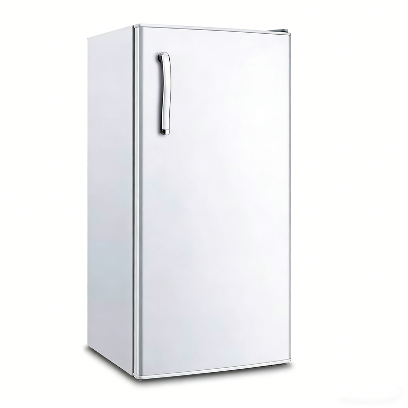 165L 低噪节能单门冰箱 家用租房大容量冷藏保鲜冰箱