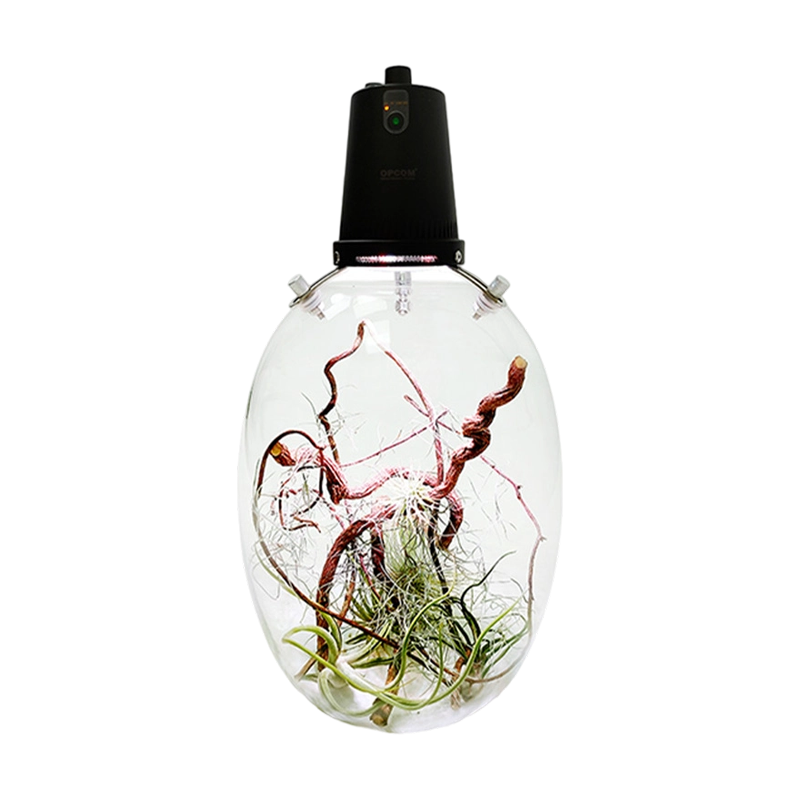 LED照明生态瓶套装