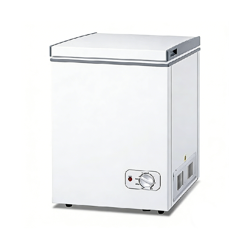 迷你冷藏冷冻冰柜 42L 机械控温 家用宿舍低耗冷柜